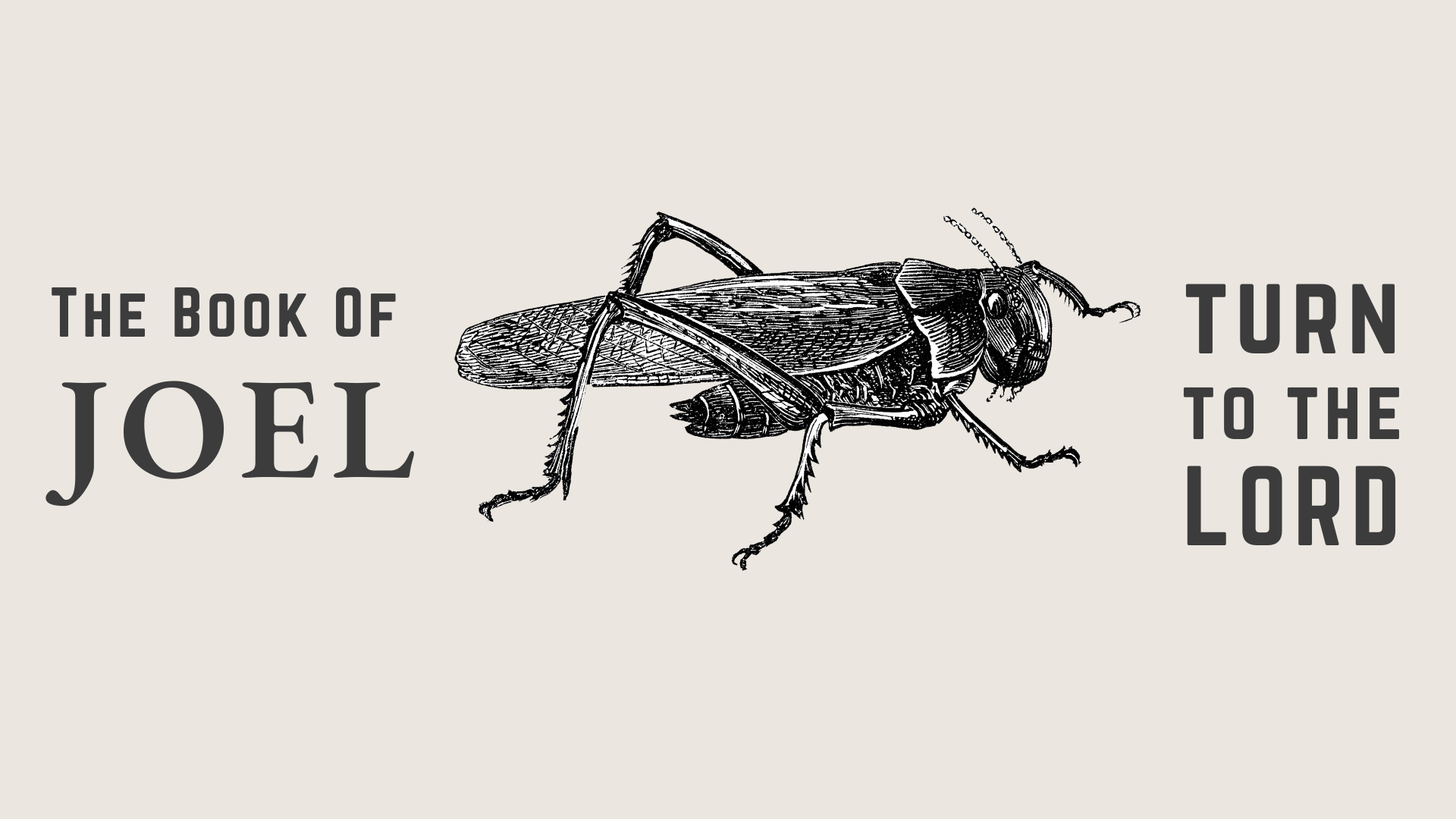 Boi 2025: Locusts & Divine Retribution – The Oisvorfer Ruv
